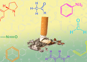 NicoZero bloque la sensibilité des récepteurs à la nicotine